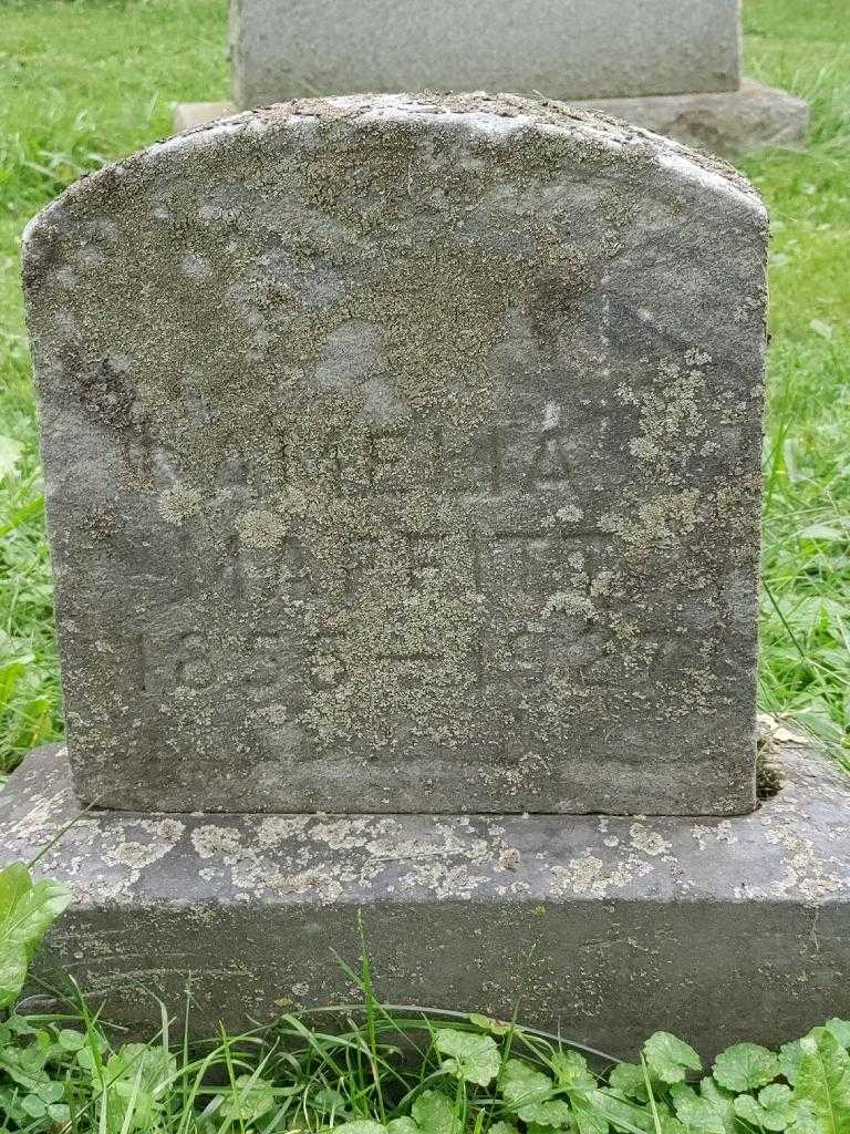 Amelia Maffitt's grave. Photo 3