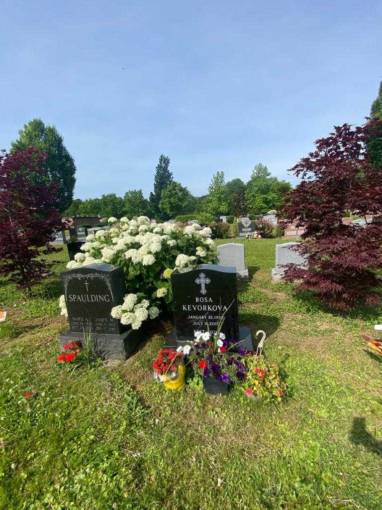 Rosa Kevorkova's grave. Photo 1