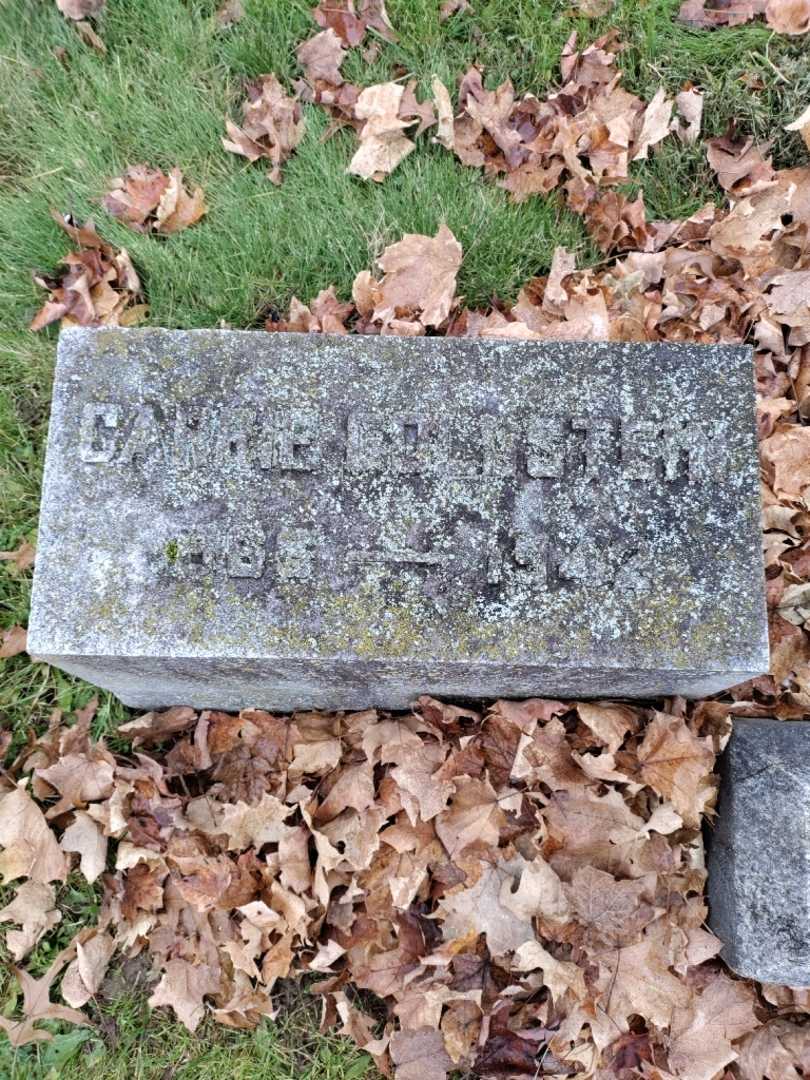 Carrie Goldstein's grave. Photo 3