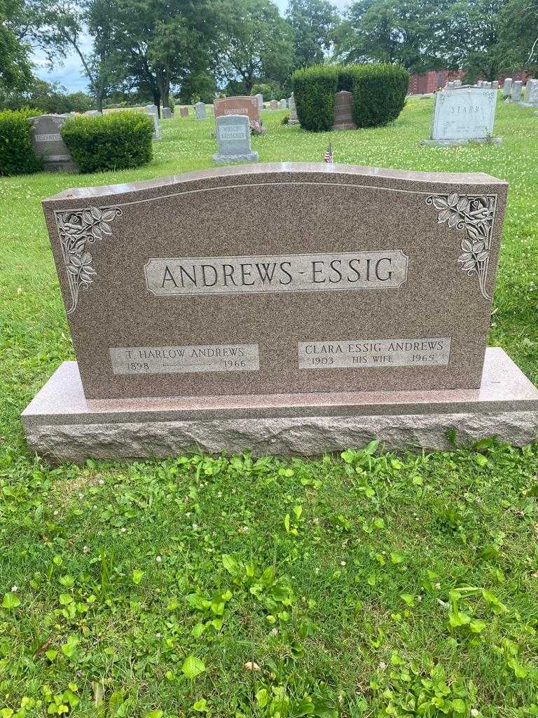 Clara Essig Andrews's grave. Photo 2