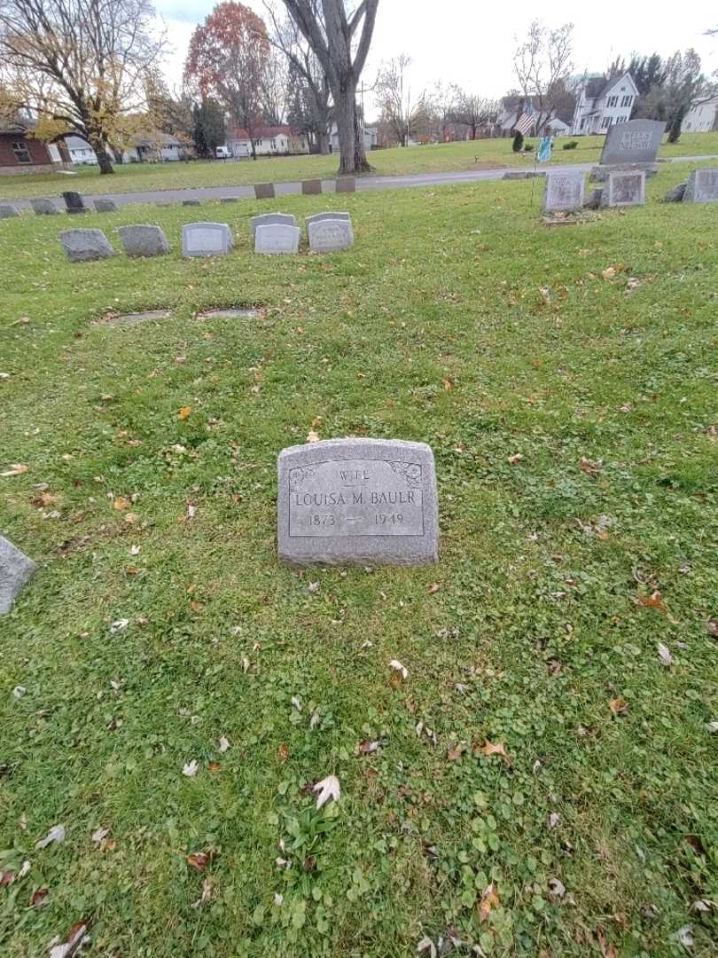 Louisa M. Bauer's grave. Photo 2