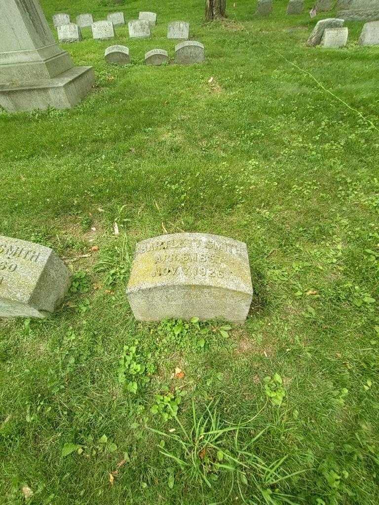 Bartlett Smith's grave. Photo 1