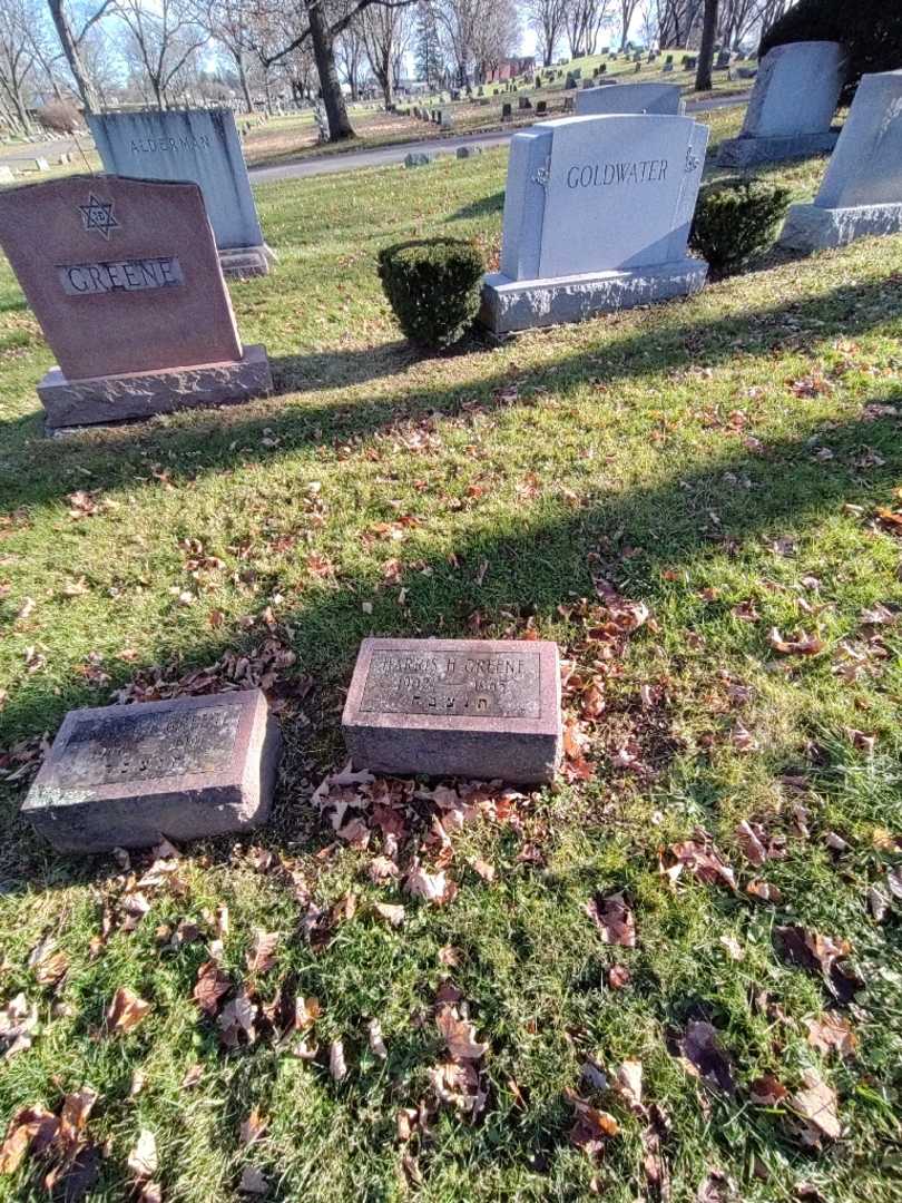 Harris H. Greene's grave. Photo 1