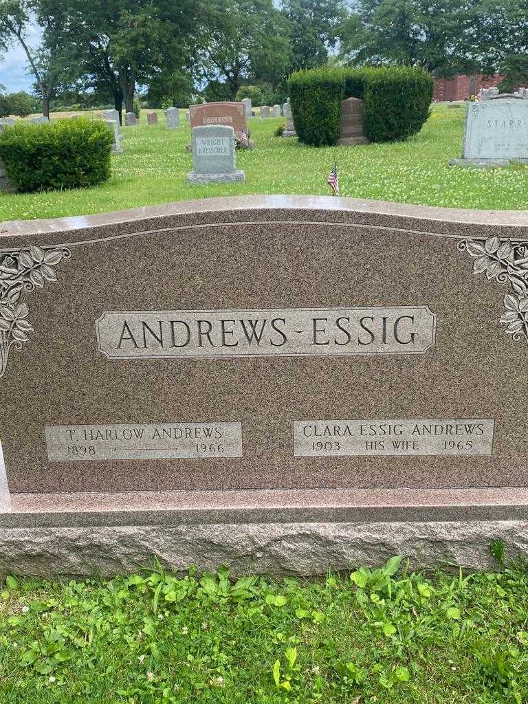 Clara Essig Andrews's grave. Photo 3