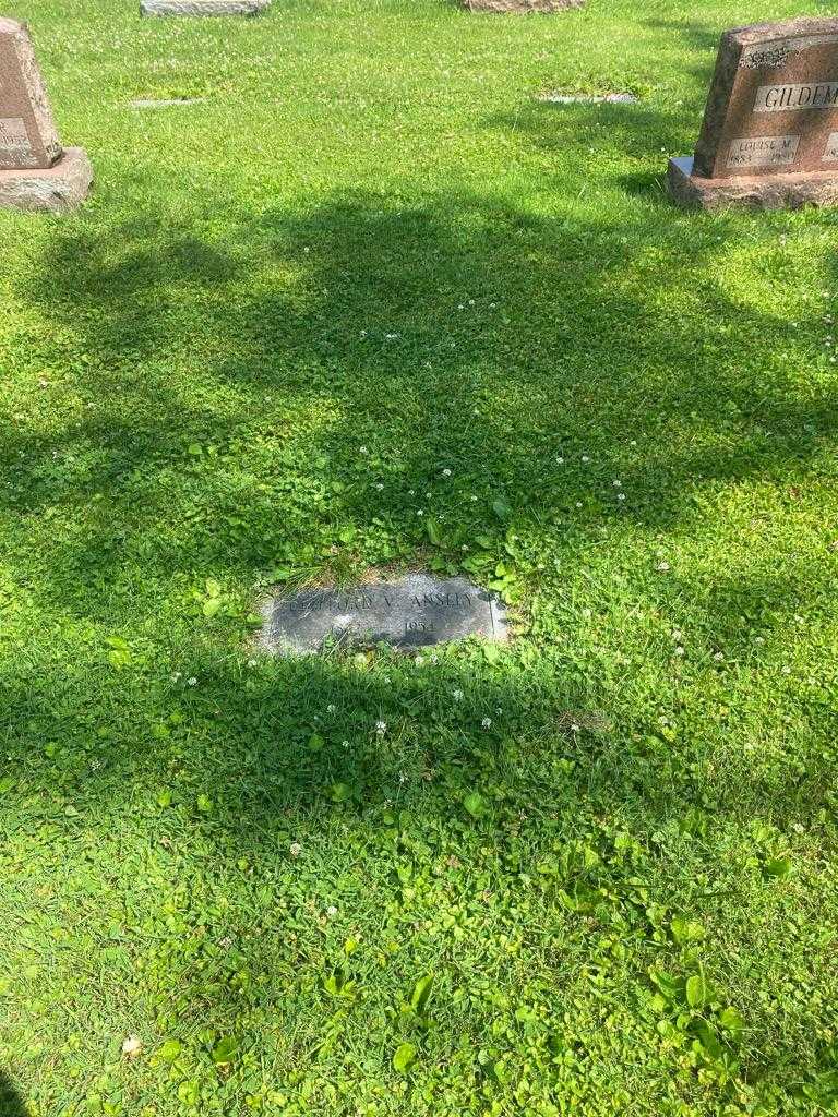 Clifford V. Ansley's grave. Photo 2