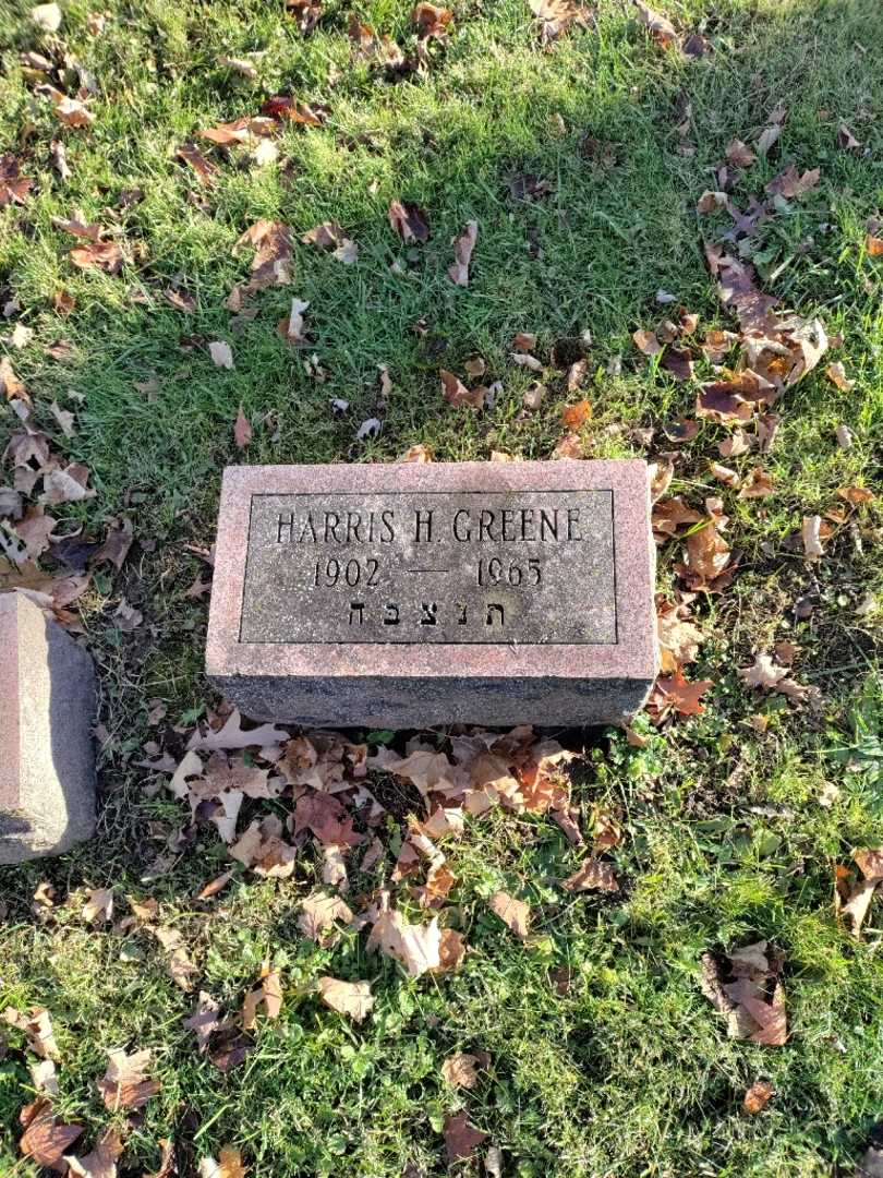 Harris H. Greene's grave. Photo 3