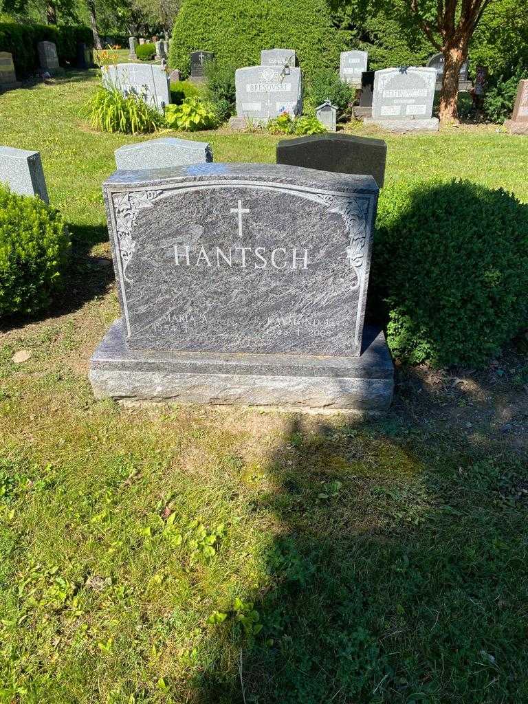 Raymond I. Hantsch's grave. Photo 2