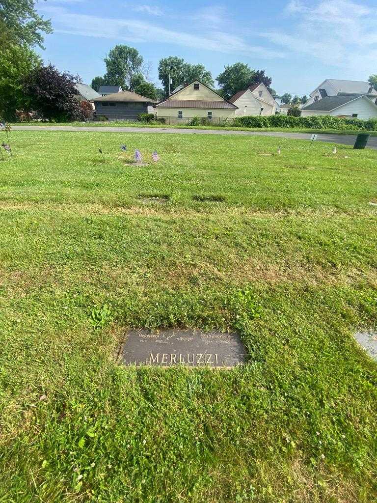 Alexander P. Merluzzi's grave. Photo 1