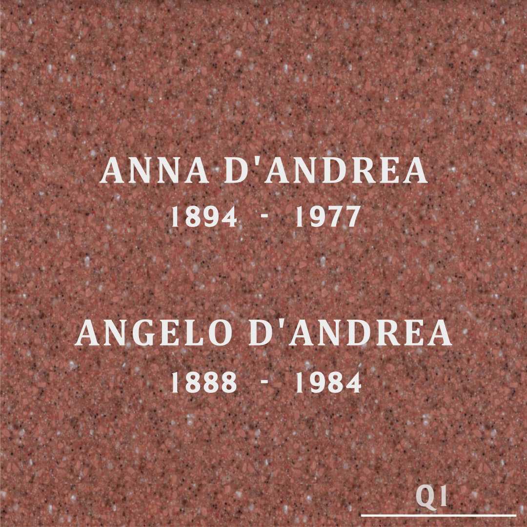 Anna D'Andrea's grave