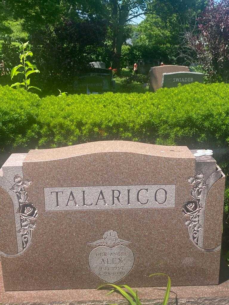 Alex Talarico's grave. Photo 3