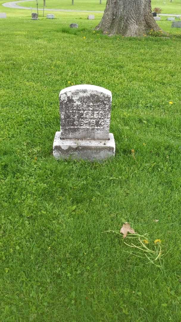 Ernst Miller's grave. Photo 2