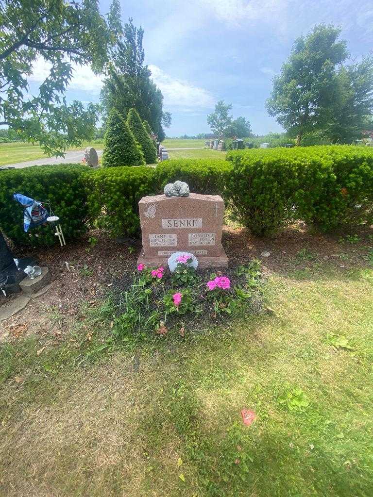 Jane E. Senke's grave. Photo 1