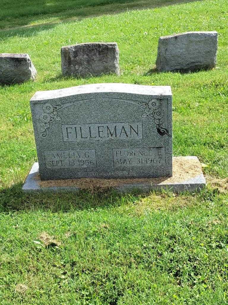 Amelia G. Filleman's grave. Photo 2