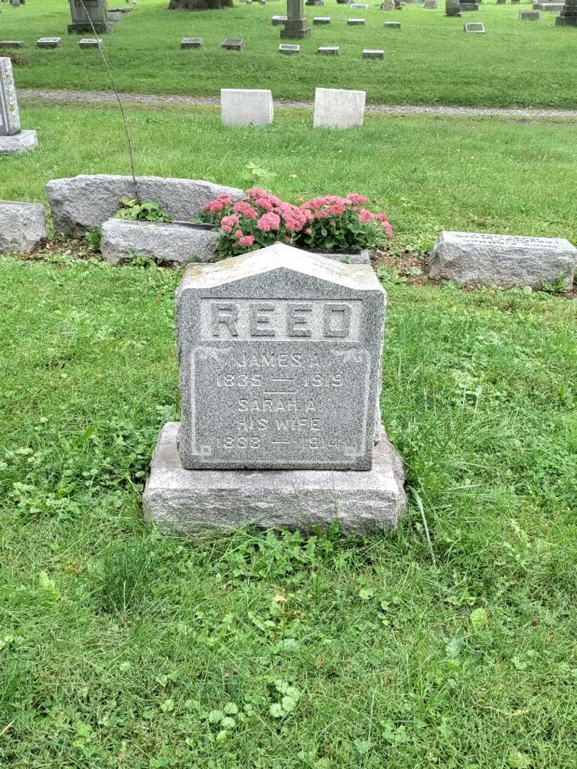 Sarah A. Reed's grave. Photo 2