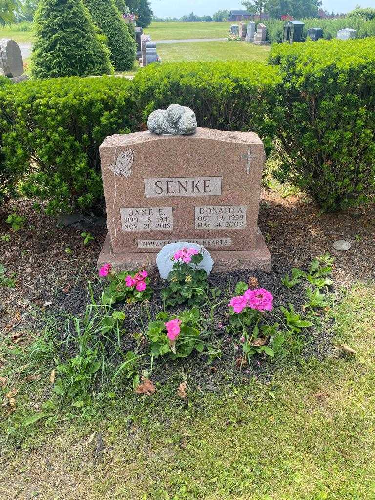 Jane E. Senke's grave. Photo 2