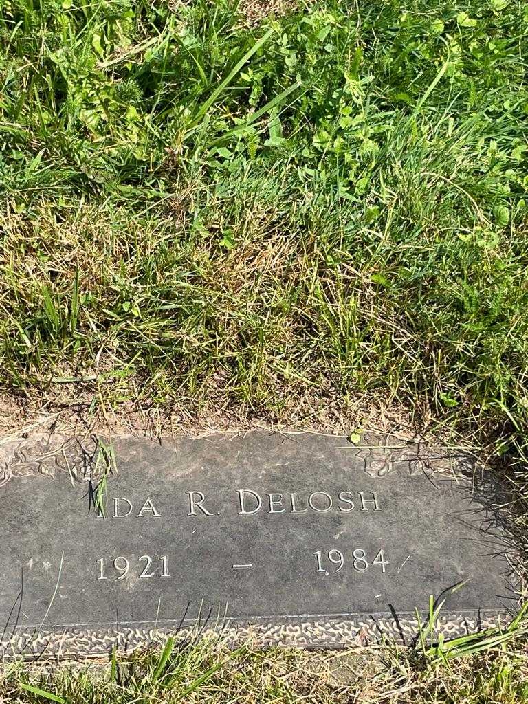 Ida R. Delosh's grave. Photo 3