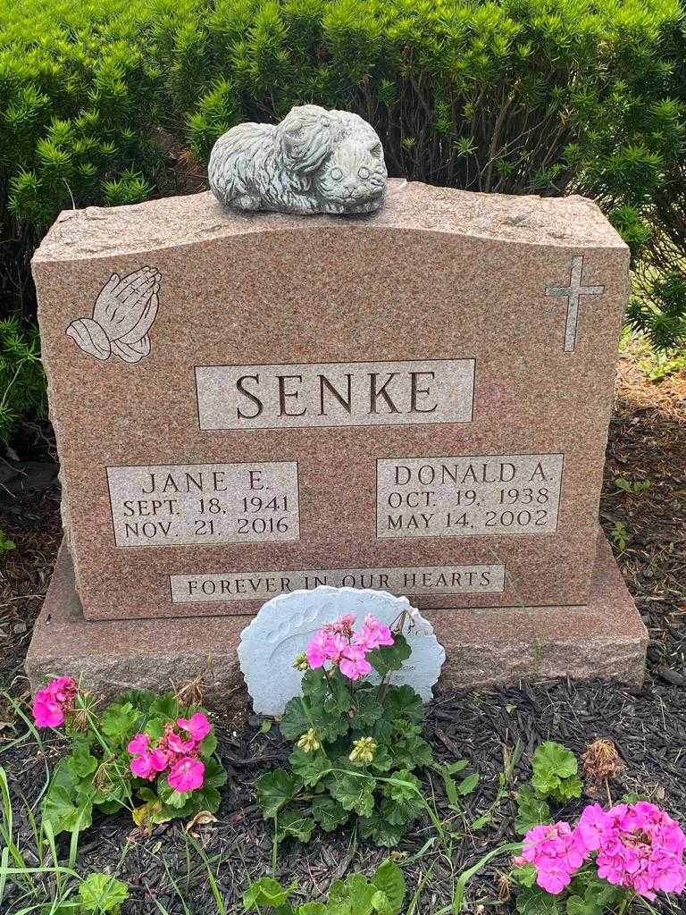 Jane E. Senke's grave. Photo 3