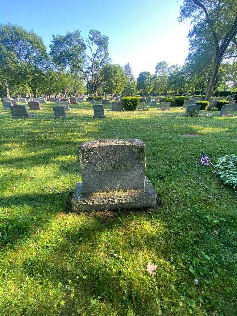 David L. Levine's grave. Photo 4