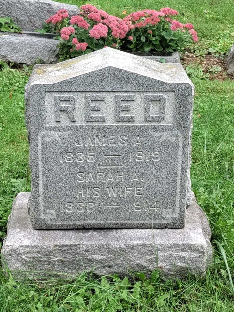 Sarah A. Reed's grave. Photo 3