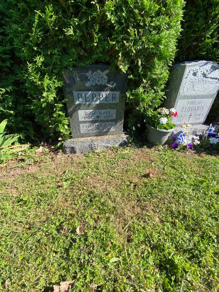 Charles E. Pepper Senior's grave. Photo 1