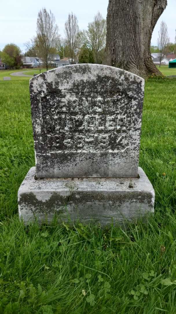 Ernst Miller's grave. Photo 3
