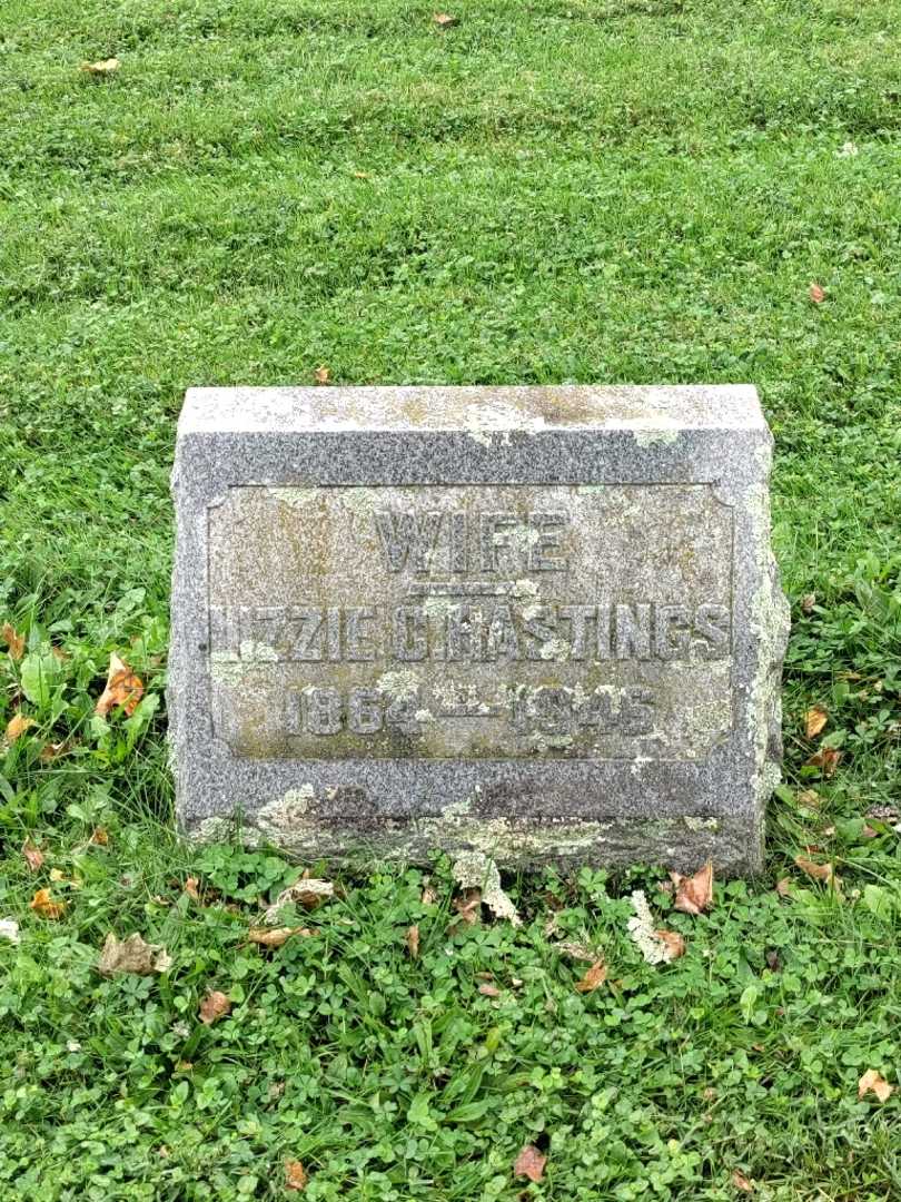 Elizabeth C. "Lizzie" Sheldon Hastings's grave. Photo 2
