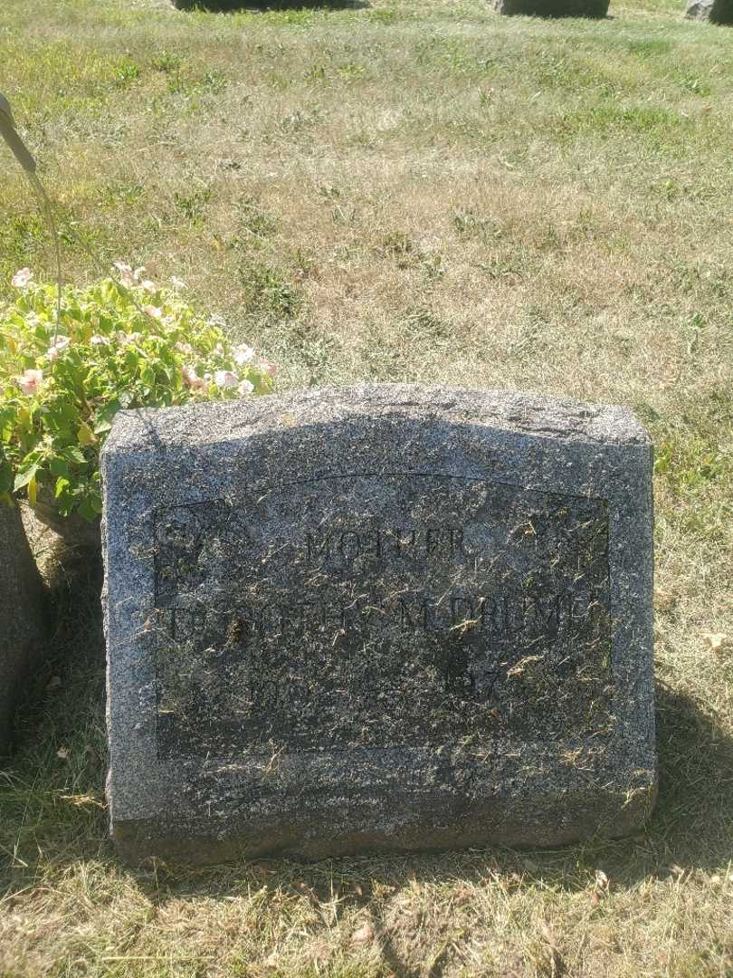 Dorothy M. Drumm's grave. Photo 3