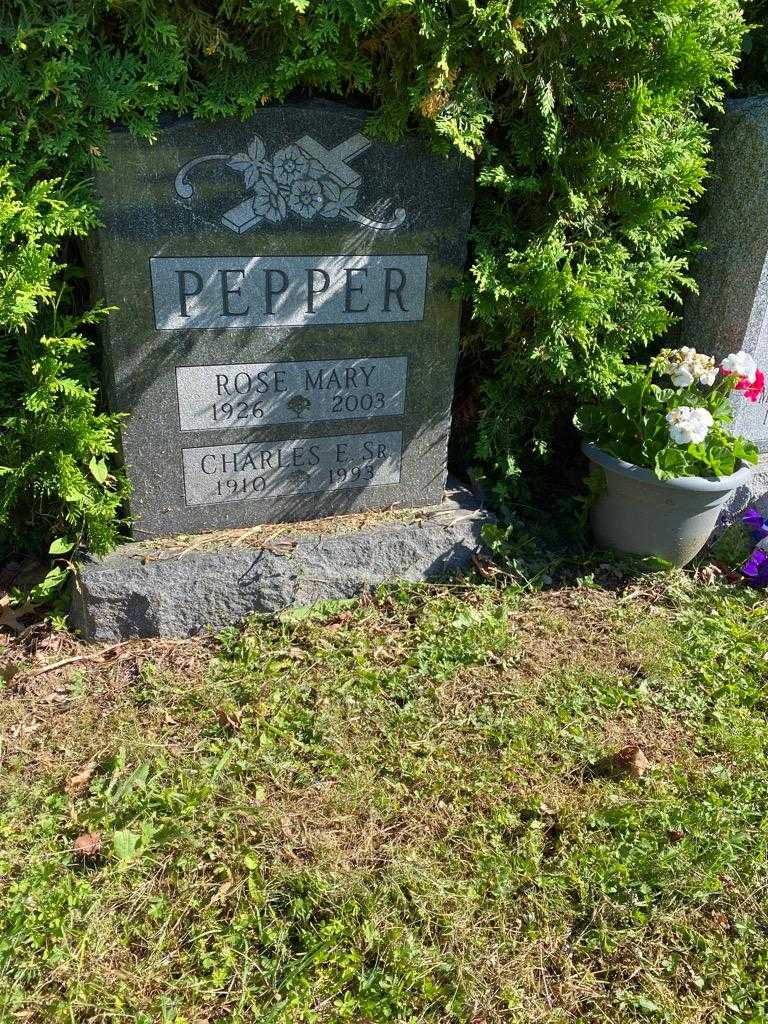 Charles E. Pepper Senior's grave. Photo 2