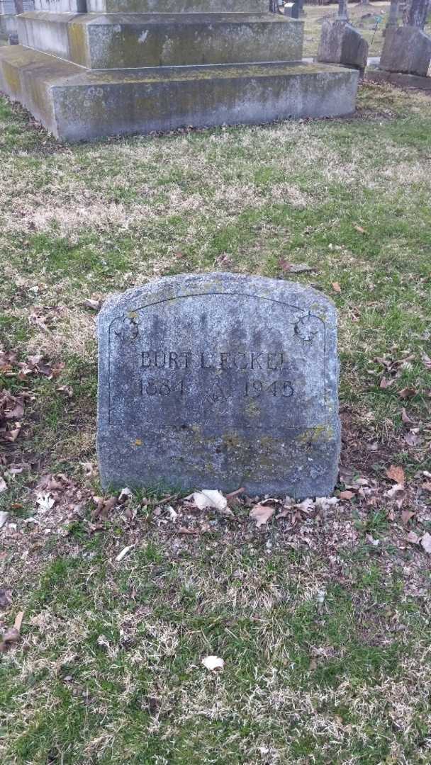 Burt L. Eckel's grave. Photo 16