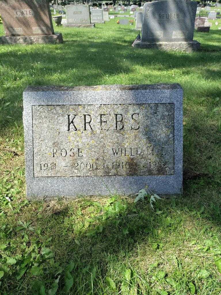 William E. Krebs's grave. Photo 2