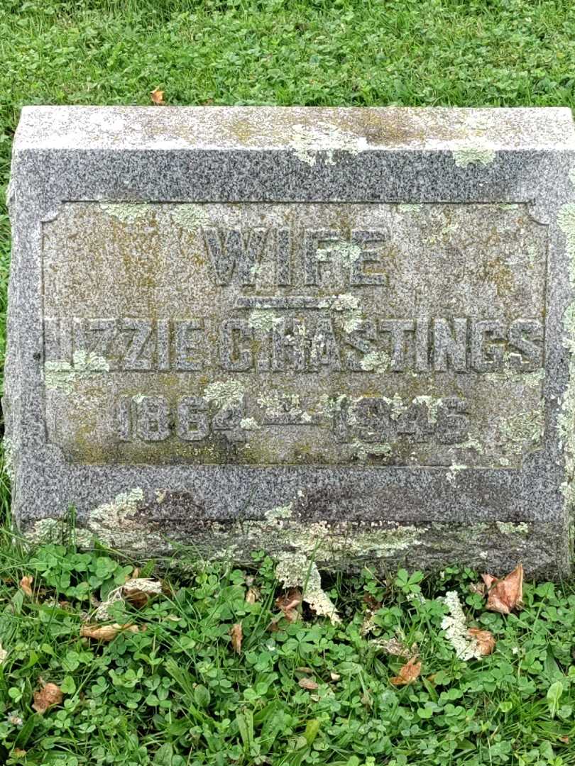 Elizabeth C. "Lizzie" Sheldon Hastings's grave. Photo 3