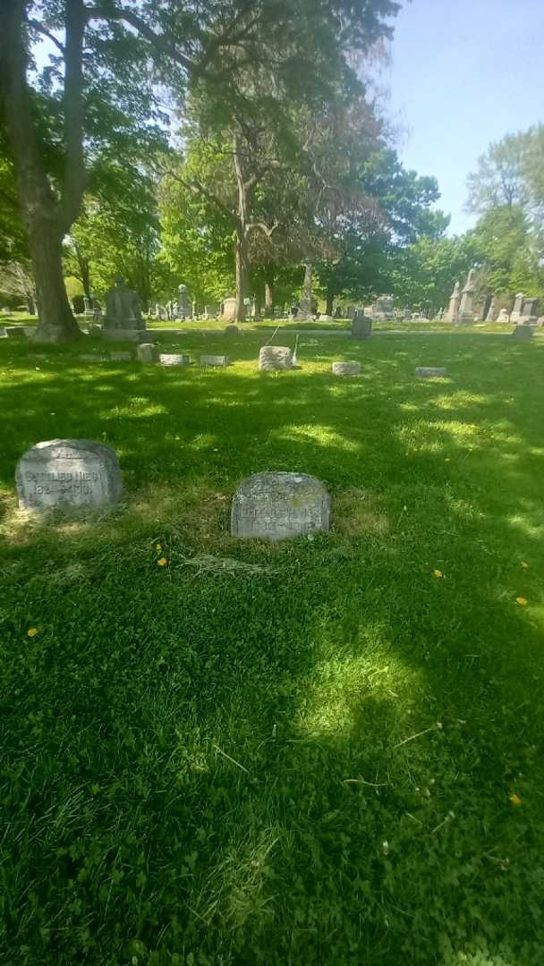 Elizabeth S. Nies's grave. Photo 1