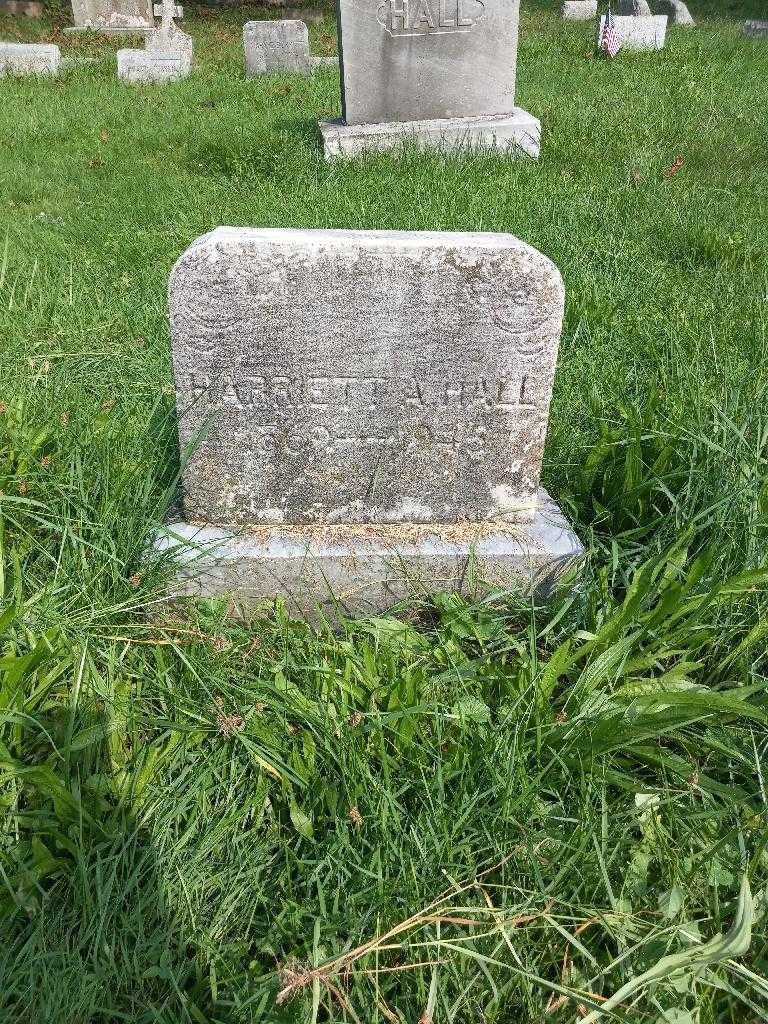 Harriett A. Hall's grave. Photo 3