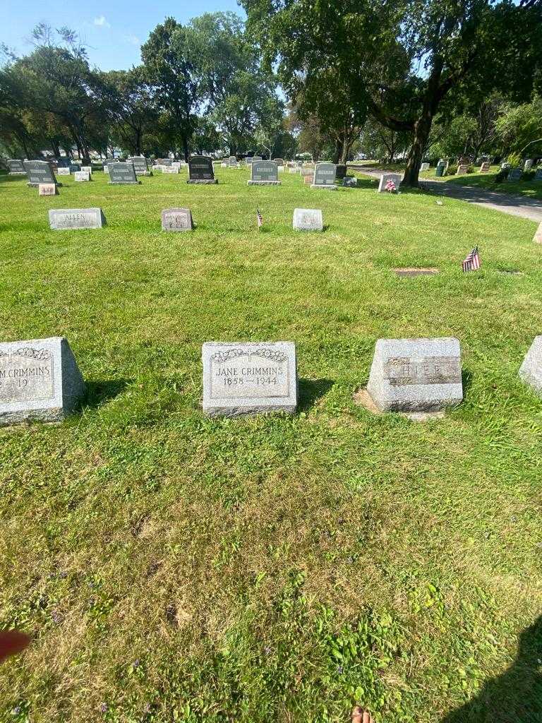 Jane Crimmins's grave. Photo 1