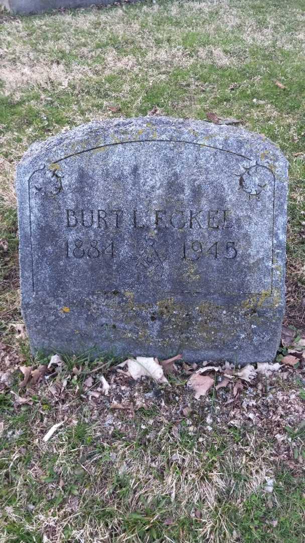 Burt L. Eckel's grave. Photo 17
