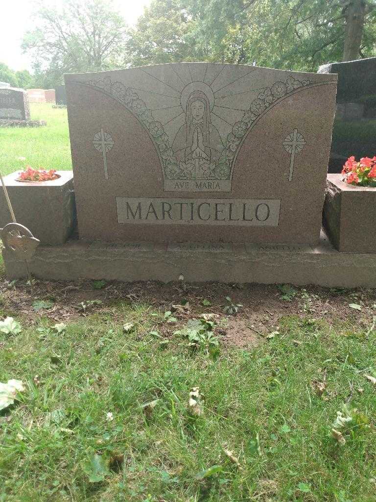 Aniello Marticello's grave. Photo 2