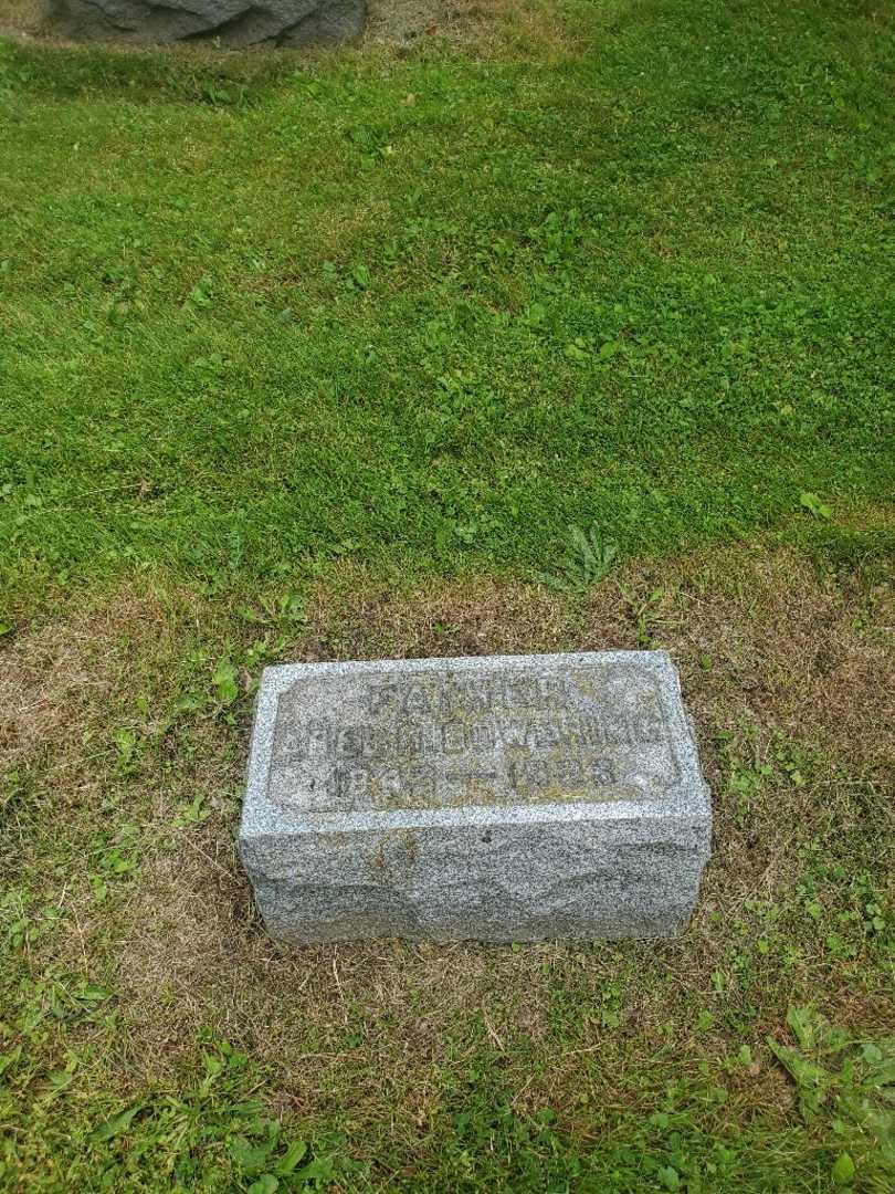 Abel R. Bowering's grave. Photo 2