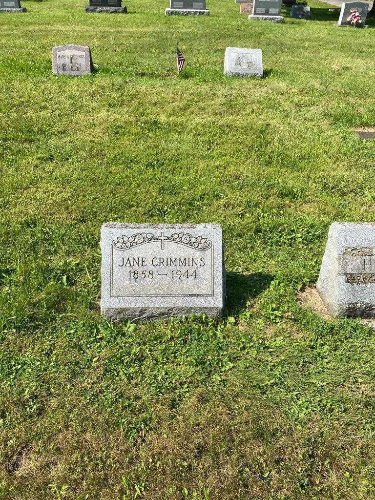 Jane Crimmins's grave. Photo 2
