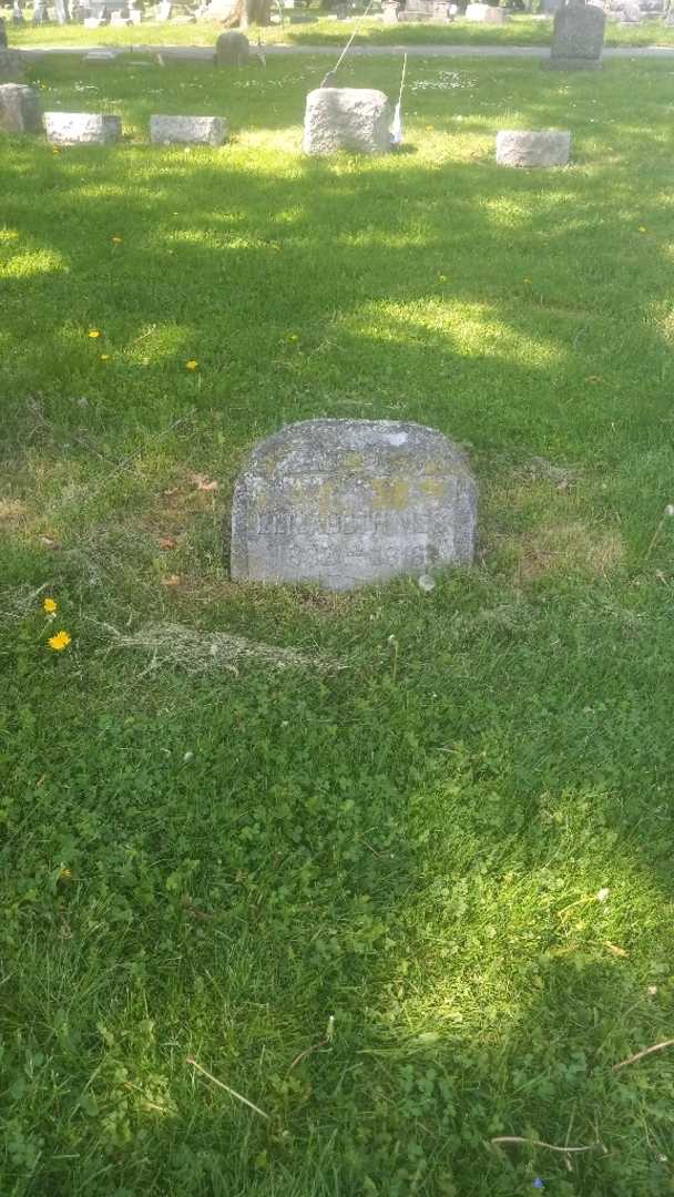 Elizabeth S. Nies's grave. Photo 2