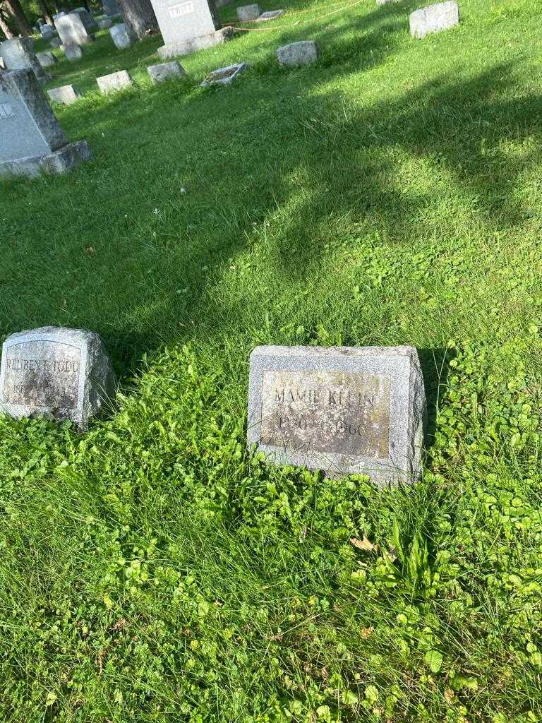 Mamie B. Klein's grave. Photo 2