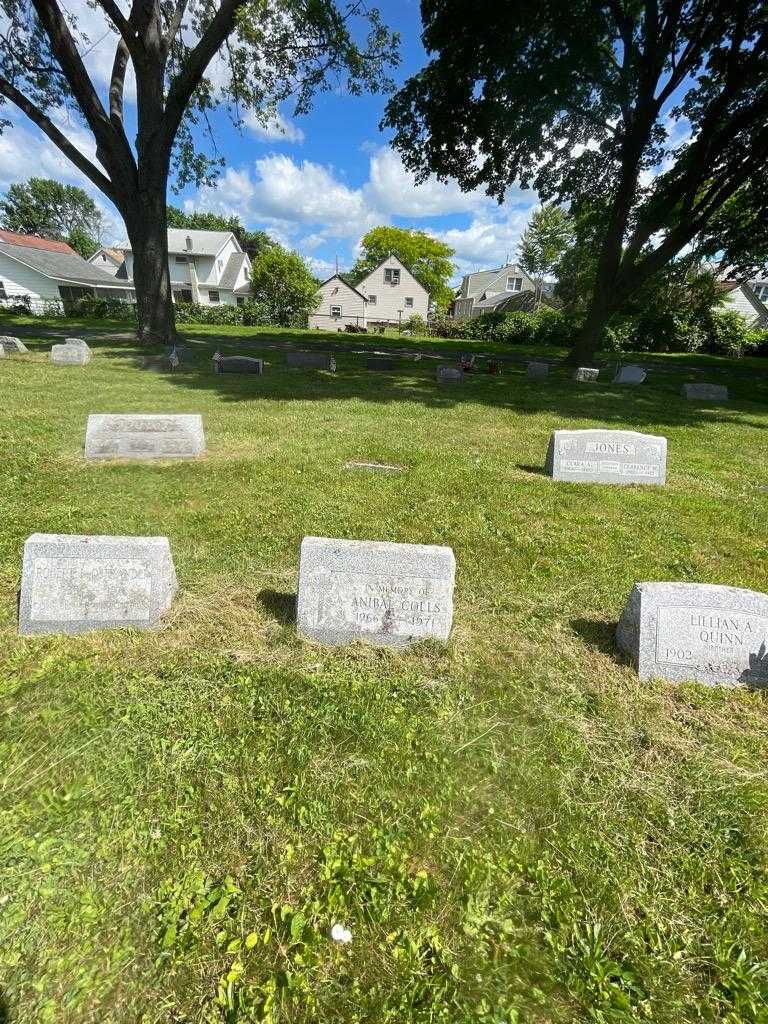 Anibal Colls's grave. Photo 1