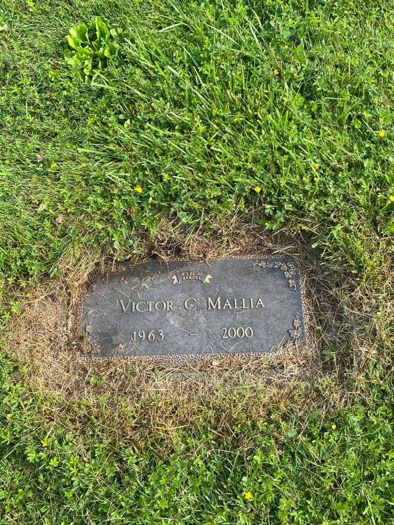 Victor C. Mallia's grave. Photo 1