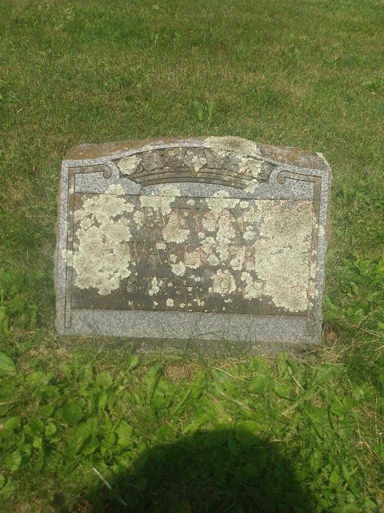 Evelyn Walliser's grave. Photo 2