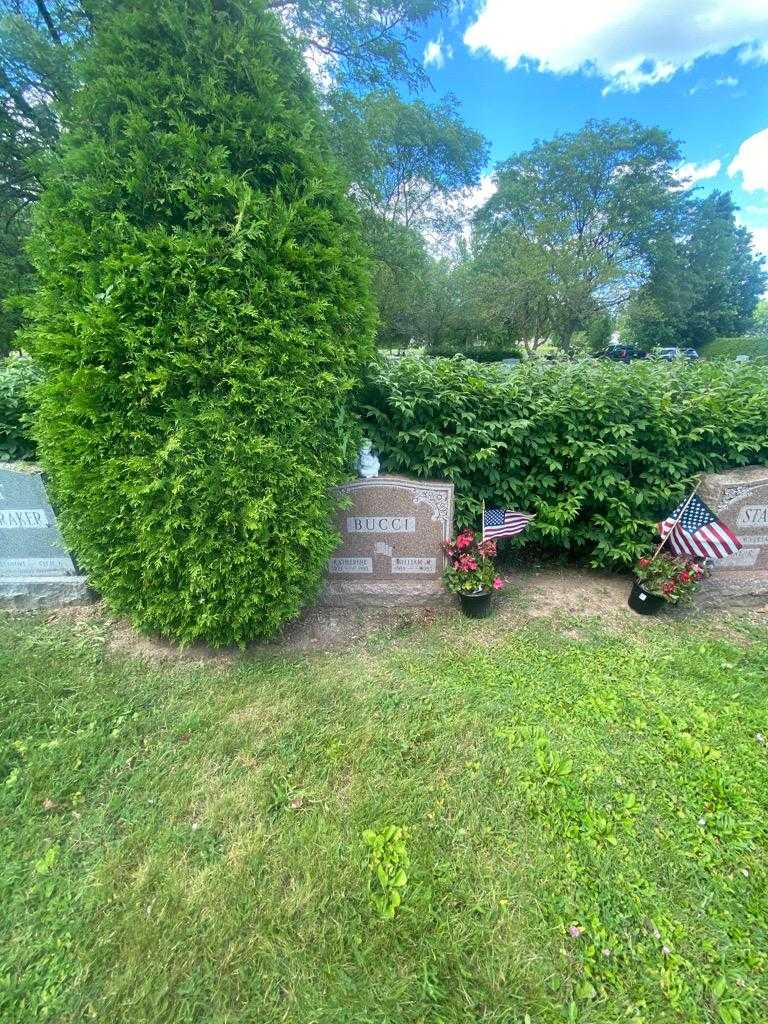 Katherine Bucci's grave. Photo 2