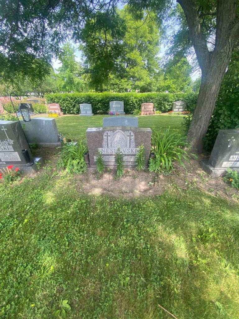 Paraskeva Neshevski's grave. Photo 1