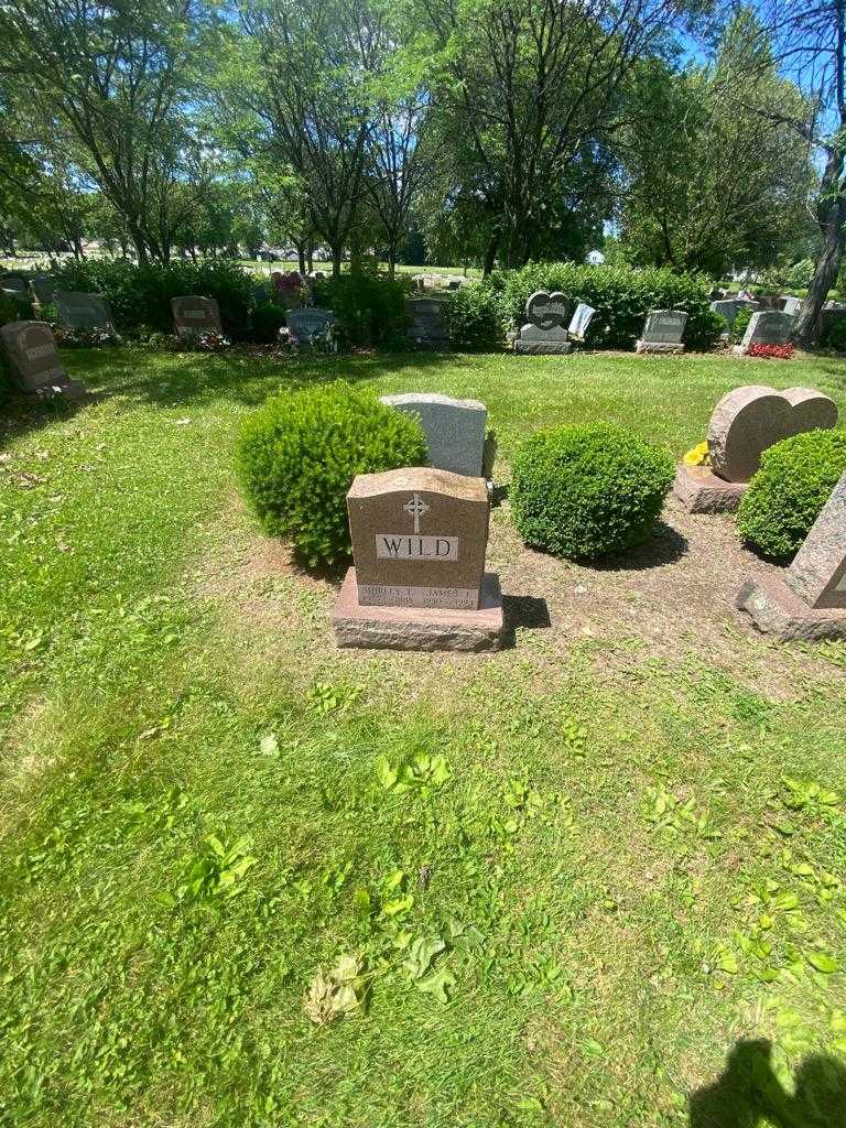 James J. Wild's grave. Photo 1