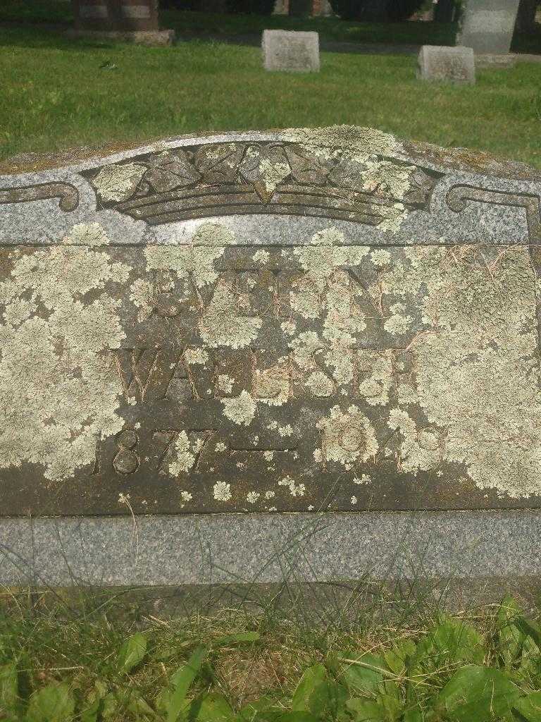 Evelyn Walliser's grave. Photo 3