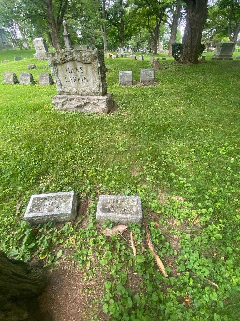 Herbert J. Haas Junior's grave. Photo 1