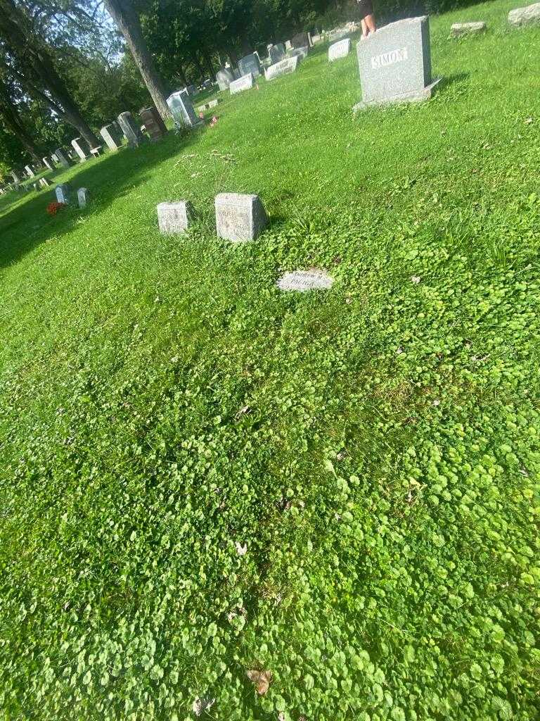 Andrew M. Paciga's grave. Photo 1