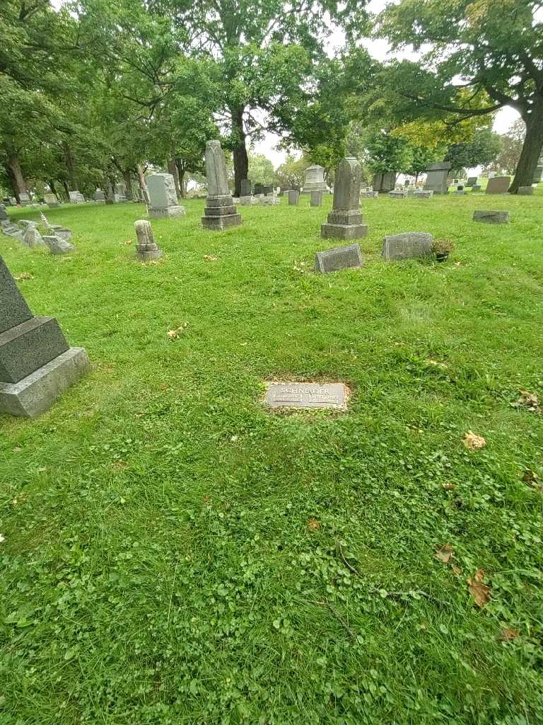 Elizabeth Schneider's grave. Photo 1